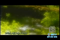 TV Content Image